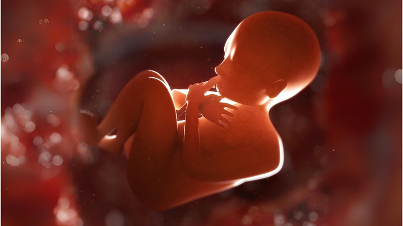 thai-26-tuan-dap-bung-duoi-co-sao-khong 1