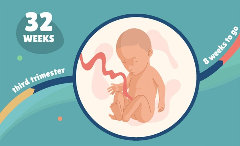 Thai 32 tuần phát triển như thế nào? Một số điều mẹ bầu cần lưu ý khi mang thai 32 tuần 2