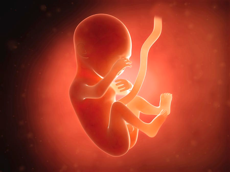 Thai 5 tháng nặng bao nhiêu mẹ bầu đã biết rõ hay chưa?2