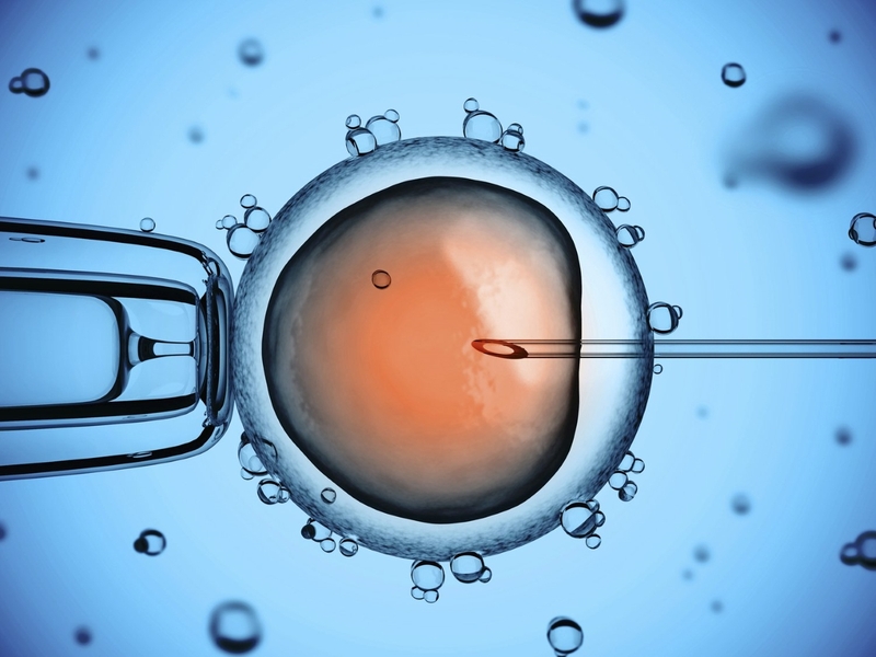 IVF là một phương pháp hỗ trợ sinh sản dành cho các cặp vợ chồng gặp khó khăn trong việc thụ thai tự nhiên