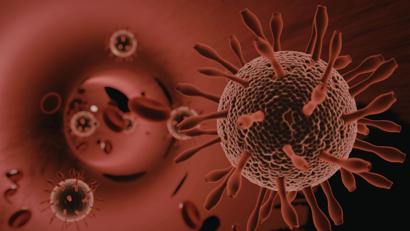 Người mẹ vô tình mắc phải một số loại virus nhất định