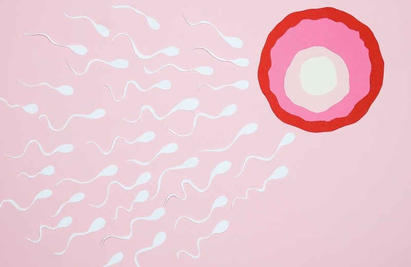 Thai IVF khác thai tự nhiên như thế nào? Những lưu ý về chăm sóc trong thai kỳ 1