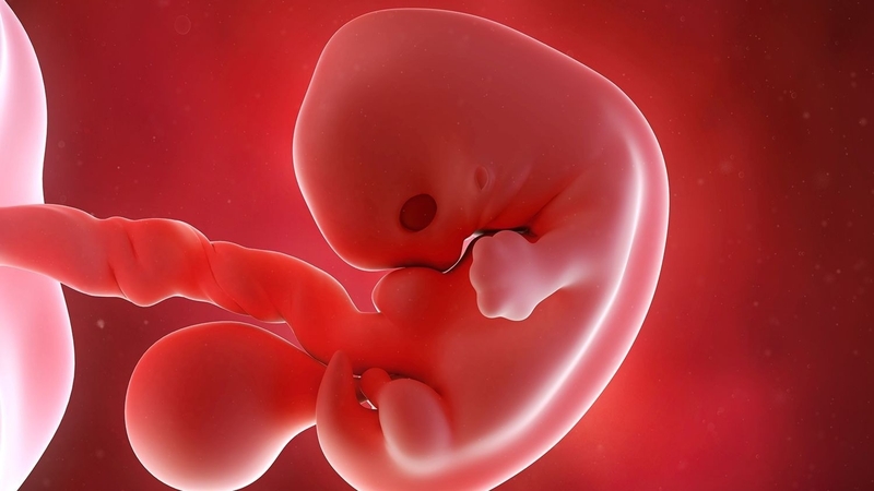 Thai lưu 7 tuần nên hút hay uống thuốc 1