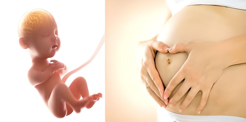 Thai máy là gì? Dấu hiệu giúp mẹ bầu nhận biết thai máy 2