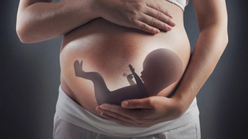 Mẹ bầu có thai nằm góc tử cung có sao không? Vị trí của thai nhi trong bụng mẹ theo từng giai đoạn thai kì 1