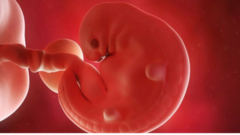 Mẹ bầu có thai nằm góc tử cung có sao không? Vị trí của thai nhi trong bụng mẹ theo từng giai đoạn thai kì 2