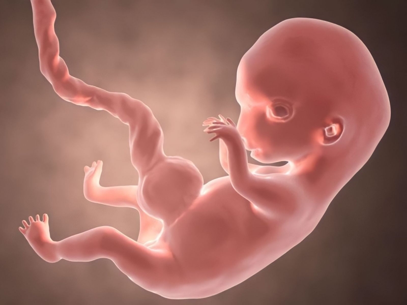 Dấu hiệu thai 19 tuần khỏe mạnh mà mẹ bầu không nên bỏ qua và sự thay đổi của mẹ bầu 1