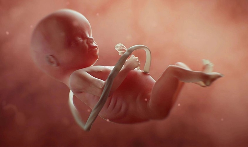 Thai nhi 14 tuần tuổi phát triển như thế nào? Chế độ dinh dưỡng nên có của mẹ bầu 1