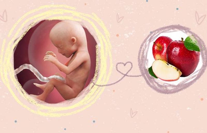 Thai nhi 15 tuần: Đặc điểm và cách chăm sóc hiệu quả 3