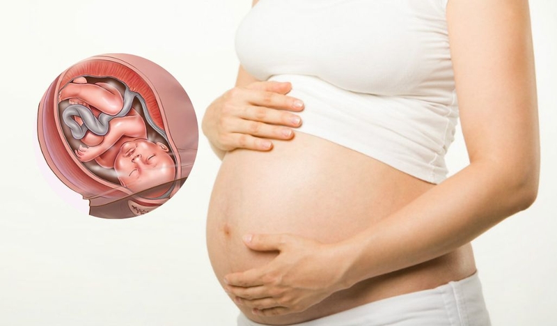 Thay đổi của cơ thể mẹ khi thai nhi 28 tuần là gì? Mẹ bầu nên lưu ý điều gì trong giai đoạn mang thai? 2
