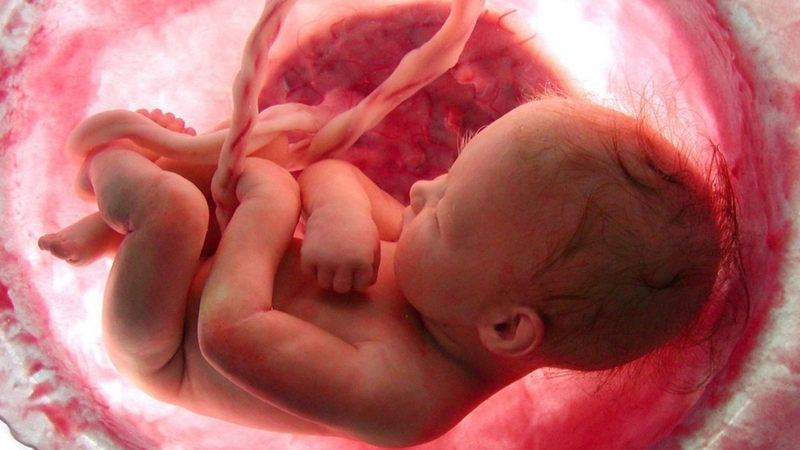 Thai nhi 32 tuần bị suy dinh dưỡng phải làm sao? Lời khuyên từ chuyên gia 2