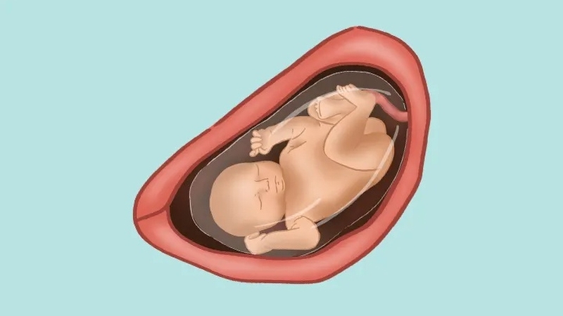 Thai nhi 32 tuần bị suy dinh dưỡng phải làm sao? Lời khuyên từ chuyên gia 4