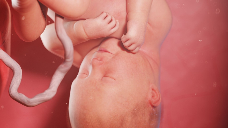 Thai nhi 35 tuần là mấy tháng? 2