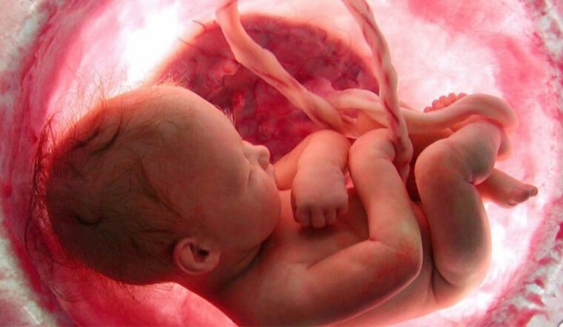 Thai nhi đạp nhiều vào ban đêm: Con muốn nói với mẹ điều gì? 3