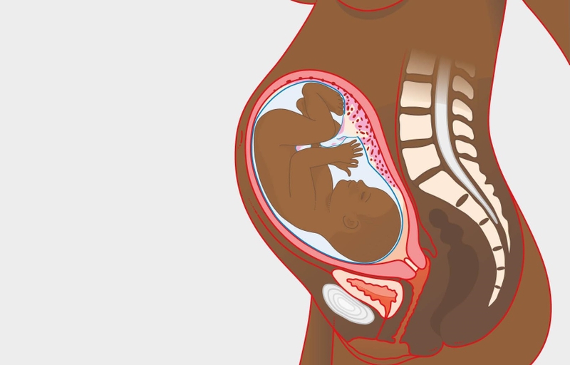 Giải đáp thắc mắc: Thai nhi quay đầu có quan hệ được không 1