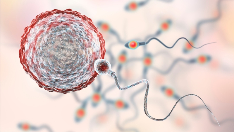 Thai sinh hóa là tình trạng mất thai sau khi phôi đã làm tổ nhưng ngừng phát triển trước khi có thể quan sát trên siêu âm