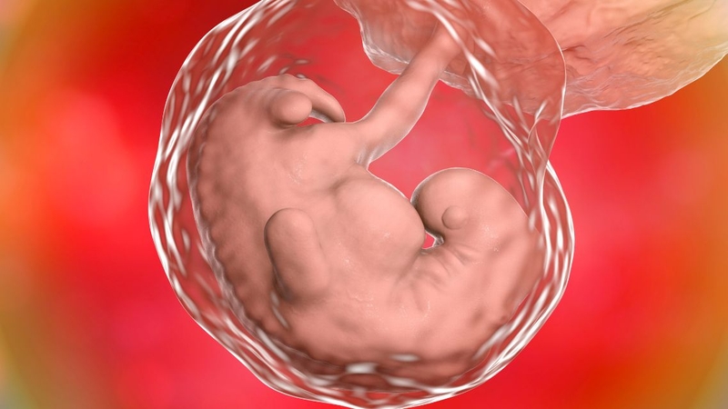 Thai chậm phát triển ở những tuần đầu có sao không? 2