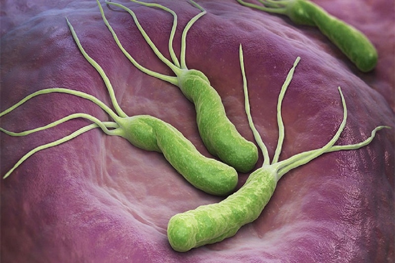 Tham khảo những bài thuốc dân gian chữa HP dạ dày hiệu quả 1