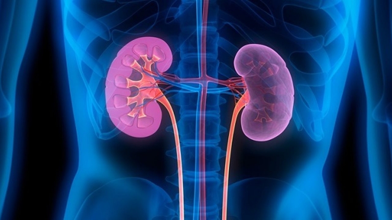 Hỏi đáp: Lọc máu và chạy thận có khác nhau không? 1