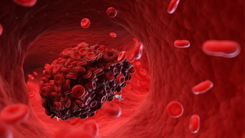 thang-diem-padua-co-y-nghia-nhu-the-nao 1