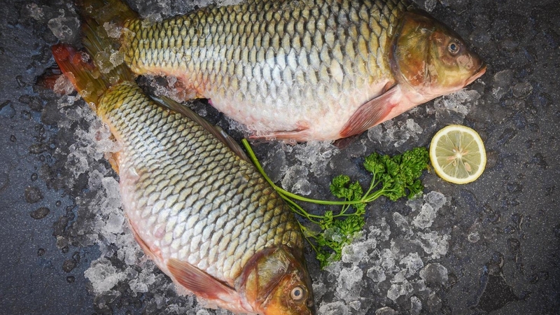 Thành phần dinh dưỡng của cá chép và các món ăn ngon từ cá chép 1