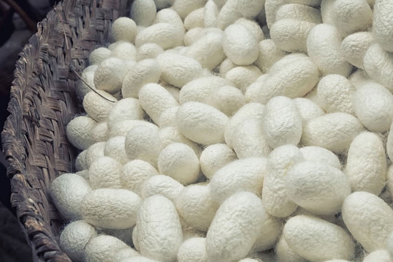 Sericin là một loại protein có trong kén tơ tằm là một trong những thành phần sữa rửa mặt Senka