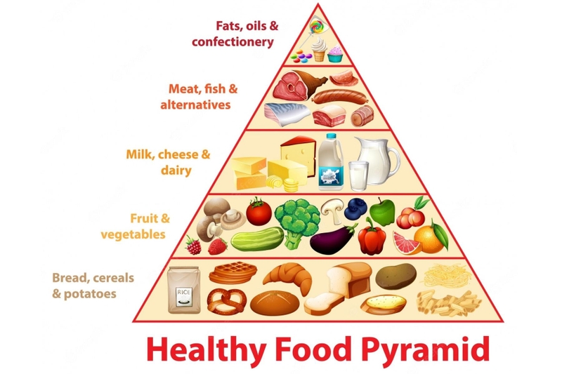Tháp dinh dưỡng và những điều bạn cần biết