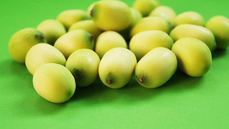 that-hu-an-hat-sen-de-ngu-va-nhung-dieu-can-biet-khi-su-dung-hat-sen 1.png