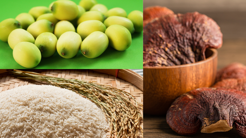 that-hu-an-hat-sen-de-ngu-va-nhung-dieu-can-biet-khi-su-dung-hat-sen 2.png