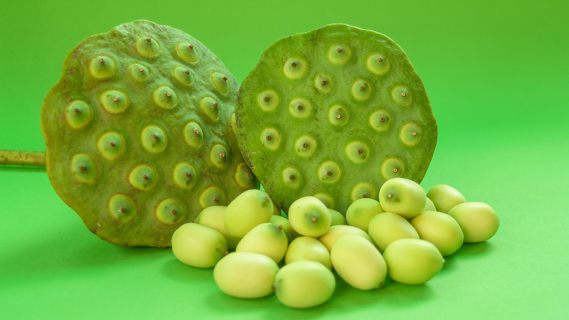 that-hu-an-hat-sen-de-ngu-va-nhung-dieu-can-biet-khi-su-dung-hat-sen 4.png