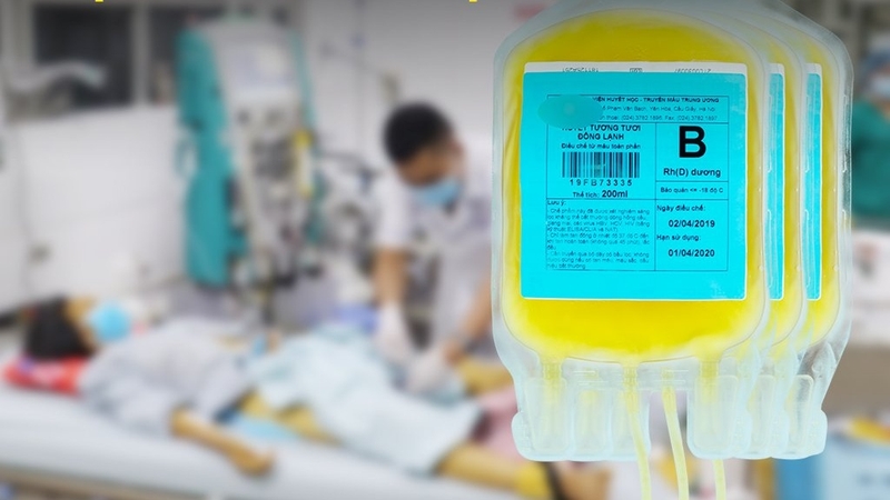 Thay huyết tương: Liệu pháp hiệu quả cho nhiều bệnh lý nguy hiểm 2