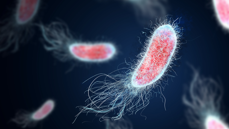 the-hang-nhan-tao-ung-dung-trong-dieu-tri-roi-loan-cuong-duong 4