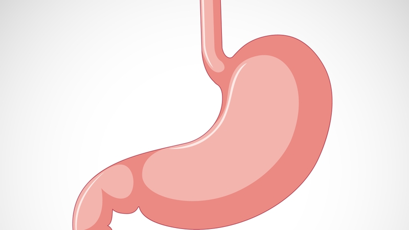 the-nao-dau-hieu-bao-tu-co-van-de 2