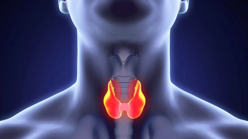 the-nao-la-dau-hieu-tuyen-giap-co-van-de 1