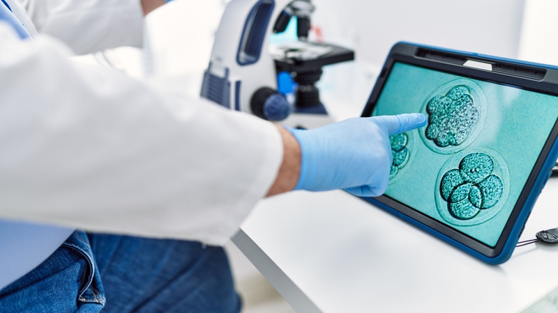 Thế nào là phôi tốt? Phân tích và đánh giá chất lượng phôi 2