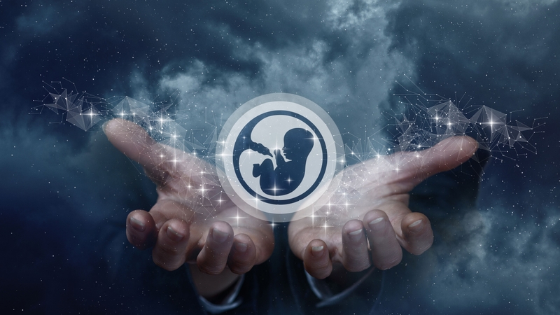 Thế nào là phôi tốt? Phân tích và đánh giá chất lượng phôi 4