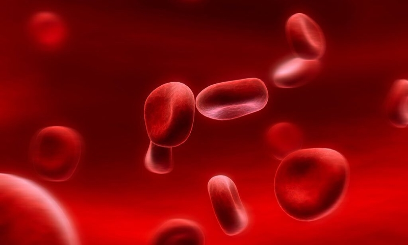 Thể tích khối hồng cầu tăng: Nguyên nhân, triệu chứng, chẩn đoán và điều trị 3