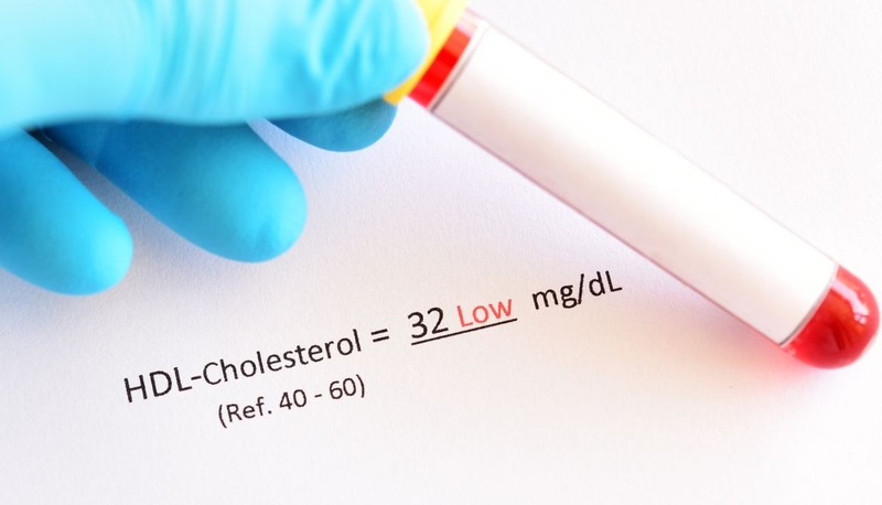 Thiếu HDL gia đình: Nguy cơ tiềm ẩn và những điều bạn cần biết 1