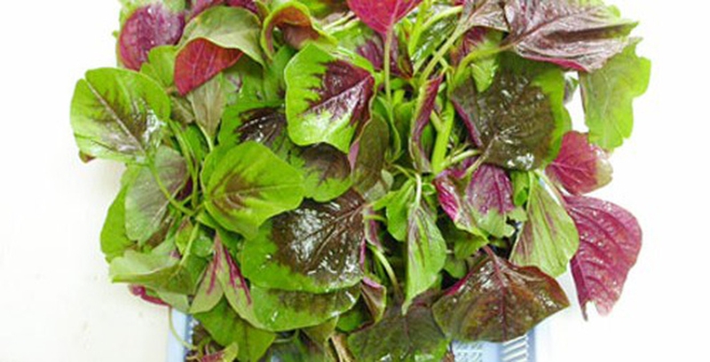 Thiếu canxi bổ sung gì? 6 nhóm thực phẩm cơ thể cần thiết 2