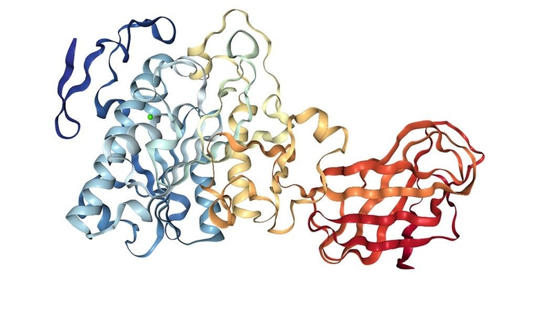 Thiếu enzyme tiêu hoá ở trẻ: Nguyên nhân, hậu quả và điều trị 1
