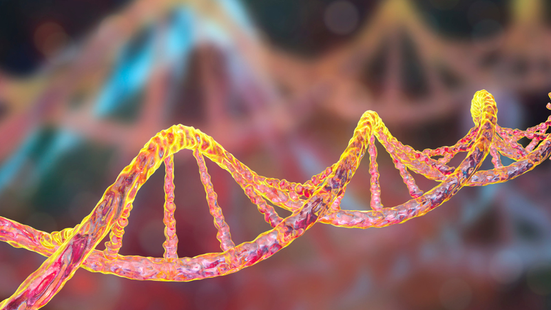 thieu-gammaglobulin-mau-lien-ket-nhiem-sac-the-x-la-gi 2