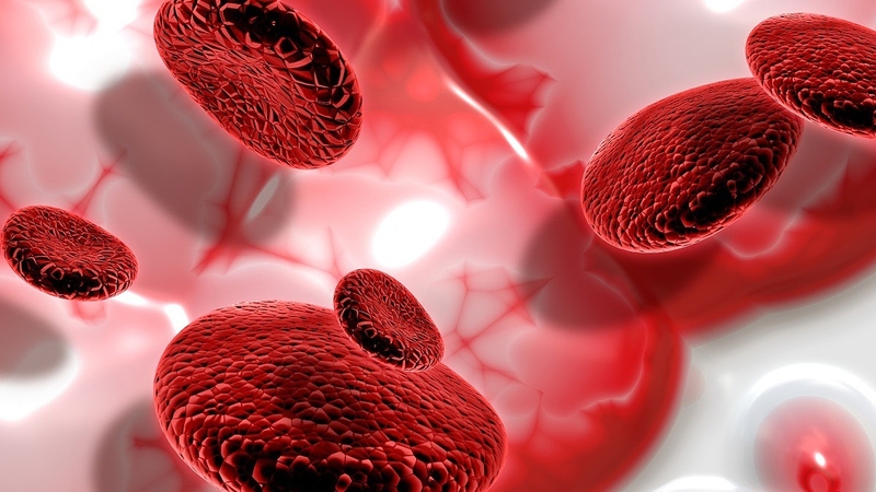 thieu-mau-ac-tinh-la-gi-mot-so-nguyen-nhan-va-trieu-chung-cua-benh 2.jpg