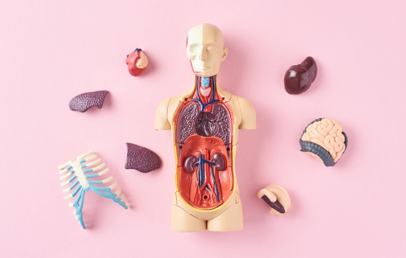 Thiếu máu cấp: Định nghĩa, nguyên nhân 4