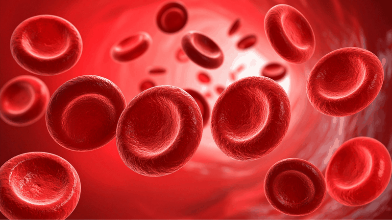 Máu đông vón cục làm tắc nghẽn dòng chảy của máu