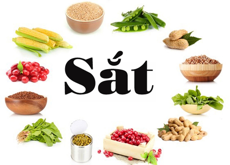 Thiếu máu dinh dưỡng ở trẻ em và cách ngừa bệnh 3