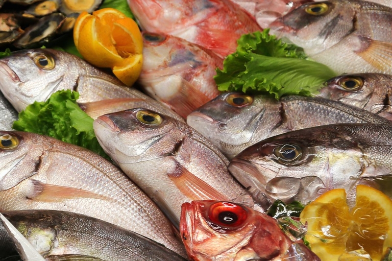 Cá biển giúp bổ sung sắt và các chất dinh dưỡng cần thiết cho mẹ bầu