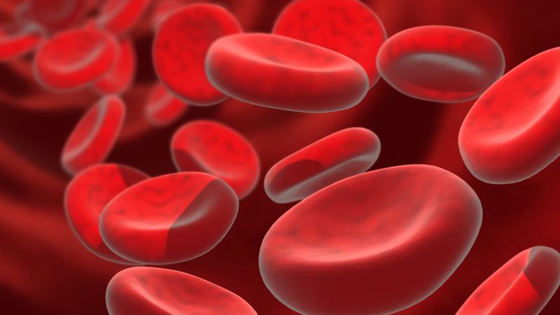 thiếu máu là gì 1