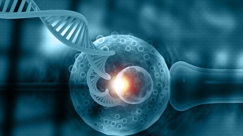 Thiểu sản tiểu não: Triệu chứng và những điều cần lưu ý 2.jpg