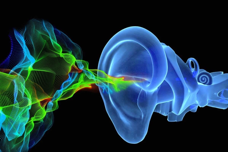 Thính giác là gì? Cấu tạo và cơ chế hoạt động của hệ thính giác 4