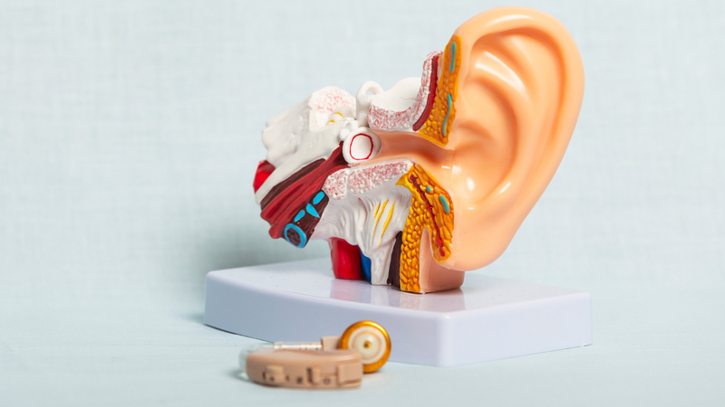 Tai tiếp nhận âm thanh và xử lý thông tin theo trình tự từ tai ngoài, tai giữa đến tai trong